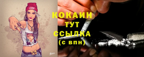 кокс Бородино