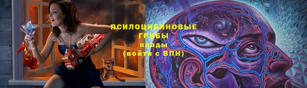 кокс Бородино